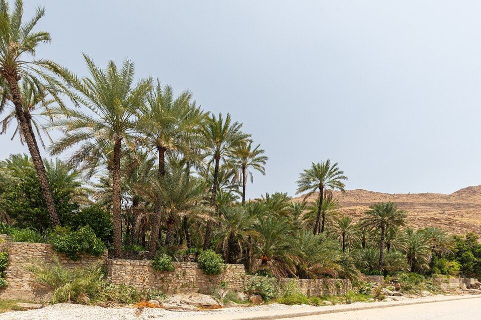 Wadi Bani Khalid